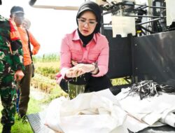 Sejumlah Gapoktan di Pesawaran Dapat Bantuan Alsintan 