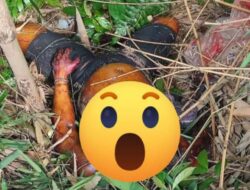Warga Desa Kebagusan Temukan Mayat Anonim di Perkebunan Karet