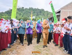Jadi Percontohan Desa Tapis, Ketua TP – PKK Lampung Kunjungi Desa Sukajaya Lempasing