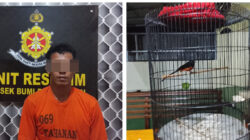 Asik Nonton TV Pelaku Curat di Tangkap Tekab 308 Polsek Bumiratu Nuban