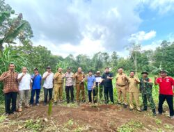 Bersama DPRD, Pemkab Pesawaran Dukung Paguyuban Kelompok Tani Kakao