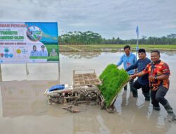 SMPN 9 Mesuji Ekstrakulikuler Gagas Student Farmer Club,Ini Tujuannya 