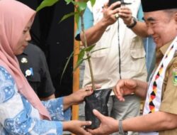 Tingkatkan Produktivitas, Pemkab Tanggamus Dorong Replanting Kakao dengan Bibit Varietas Premium