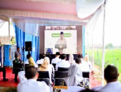 Bupati dan Wakil Bupati Pesawaran Ikuti Panen Raya Nasional Bersama Presiden