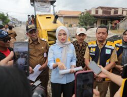 Wagub Jihan Nurlela Tinjau Perbaikan Ruas Jalan Pringsewu–Pardasuka, Pastikan Akses Transportasi tetap Aman dan Lancar