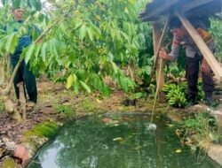 Balita 3 Tahun Meninggal Tenggelam di Bak Air Perkebunan Kopi di Tanggamus