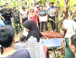 Senyap di Kebun Pisang, Seorang Petani Ditemukan Tak Bernyawa di Pulau Panggung