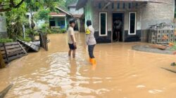 Hujan Deras Sepekan, Tanggamus Dilanda Puting Beliung dan Banjir Bandang