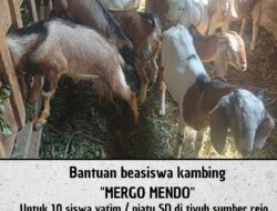 Wakil Ketua Komisi II DPRD Tubaba Arif Nurrohman Salurkan Bantuan Beasiswa Kambing untuk Anak Yatim