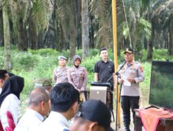 Panen Raya Jagung di Desa Berasan Makmur..Ini Kata Kapolres Mesuji..