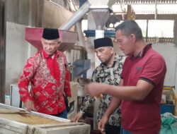 Kurang Bad Driyer Pabrik Padi CV Anugrah Alam Perlu Bantuan  Gubernur Lampung.