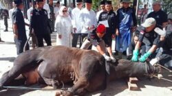 TP-PKK Tanggamus Serahkan Bangunan Penyembelihan Hewan Kurban di Islamic Center Kotaagung