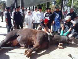 TP-PKK Tanggamus Serahkan Bangunan Penyembelihan Hewan Kurban di Islamic Center Kotaagung