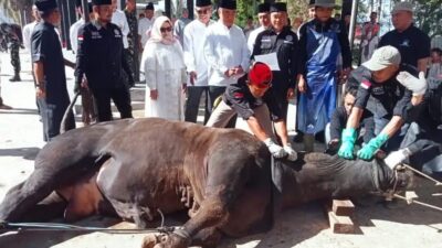 TP-PKK Tanggamus Serahkan Bangunan Penyembelihan Hewan Kurban di Islamic Center Kotaagung