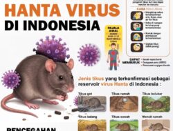 Dinkes Tubaba Tingkatkan Kewaspadaan Virus Hanta, Masyarakat Diminta Waspada Paparan Tikus