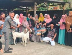 Bersama Calon Kepalo Tiyuh Rifai, Arif Nurrohman Salurkan 30 Ekor Kambing untuk Kelompok Pengajian Sumber Rejo