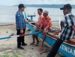 Produksi Perikanan Tanggamus Terus Tumbuh, Pematang Sawa Kokoh sebagai Sentra Ubur-Ubur