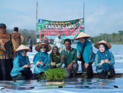 Terapkan Smart Farming Cabai, Tubaba Perkuat Ketahanan Pangan