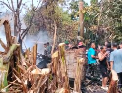 Si Jago Merah Luluhlantakkan Rumah Warga Tanggamus, Petugas Damkar Patah Tulang Saat Berjibaku Padamkan Api