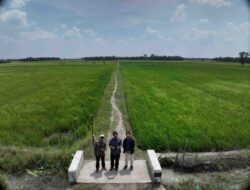IPB dan Bapperida (Mitra) Teliti Sawah Pasang Surut Mesuji dengan Teknologi Drone