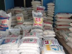 Harga Beras Premium di Tanggamus Naik, Pedagang dan Warga Keluhkan Tekanan Harga