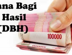 Dana Bagi Hasil Pajak dan Retribusi Desa Ditargetkan tersalurkan ke Pemerintah Desa Se-Pesawaran Bulan Agustus Ini 