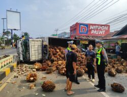 Truk Bermuatan Sawit Kecelakaan di Jalur Dua Kota Agung, Satlantas Polres Tanggamus Terapkan Sistem Buka-Tutup Arus