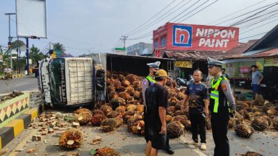 Truk Bermuatan Sawit Kecelakaan di Jalur Dua Kota Agung, Satlantas Polres Tanggamus Terapkan Sistem Buka-Tutup Arus