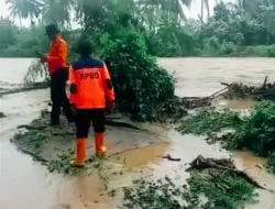 Banjir Rendam Ratusan Rumah dan Puluhan Hektare Sawah di Tanggamus