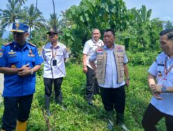 Way Belu Jebol, Pemkab Tanggamus Siapkan Penanganan Darurat