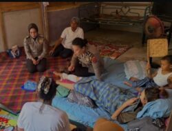 Buaya Sungai Way Semaka Serang Remaja Putri di Tanggamus, Ibu Berjuang Selamatkan Anak